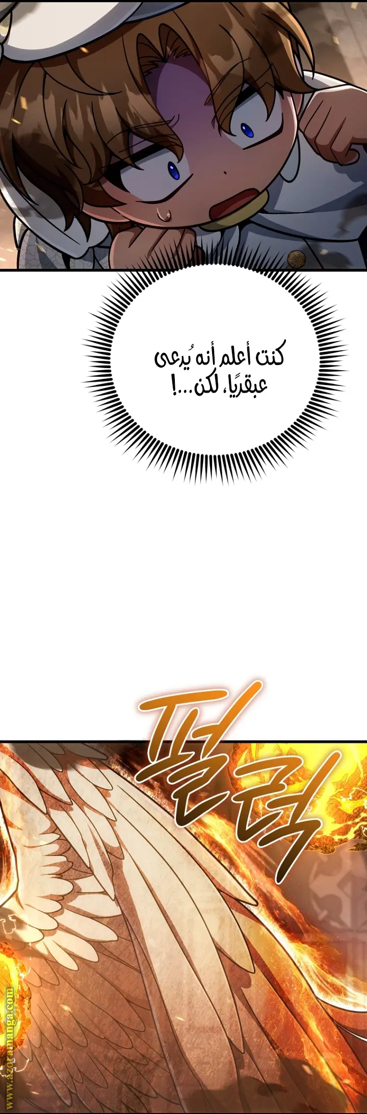 صفحة 16