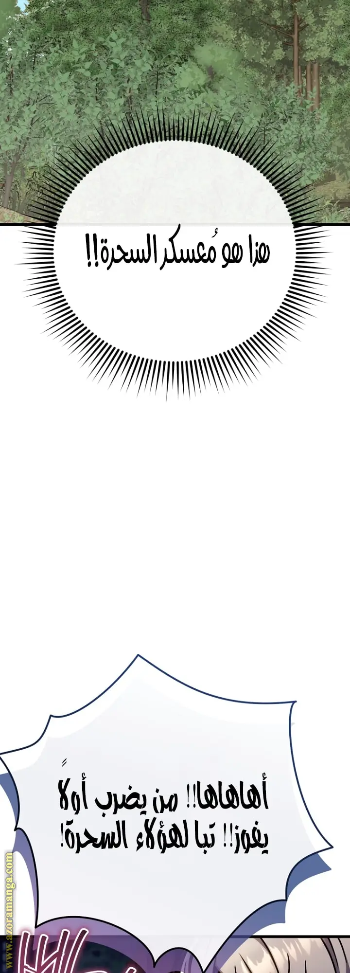 صفحة 13