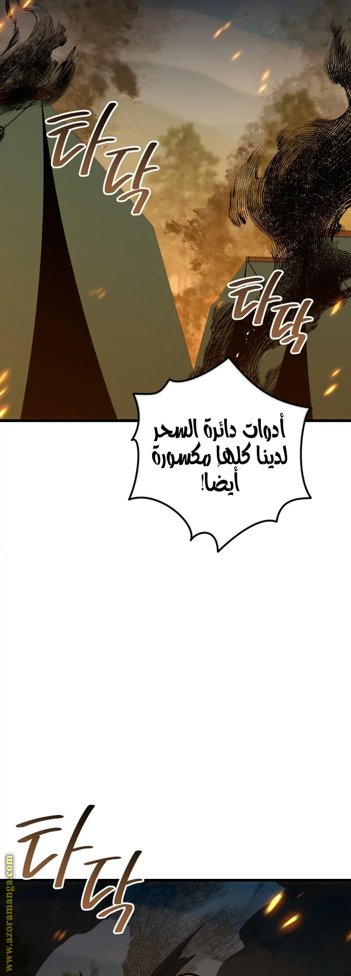 صفحة 17