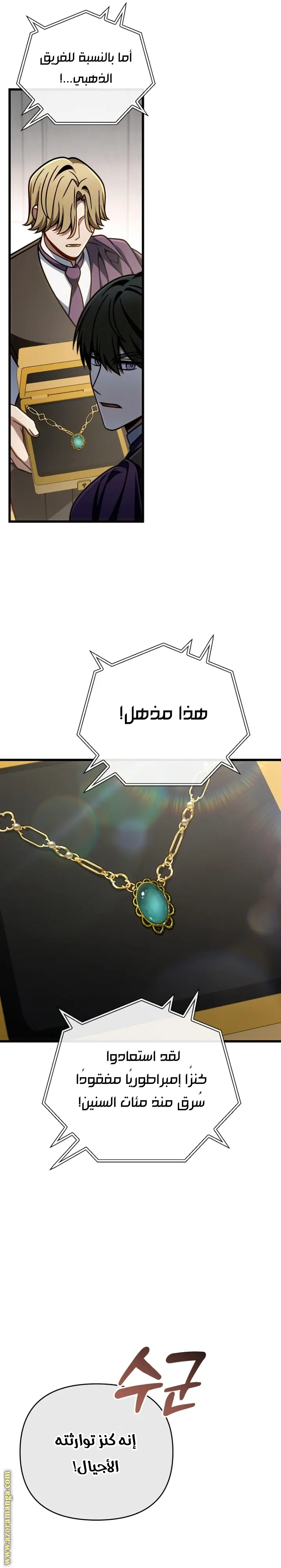 صفحة 17