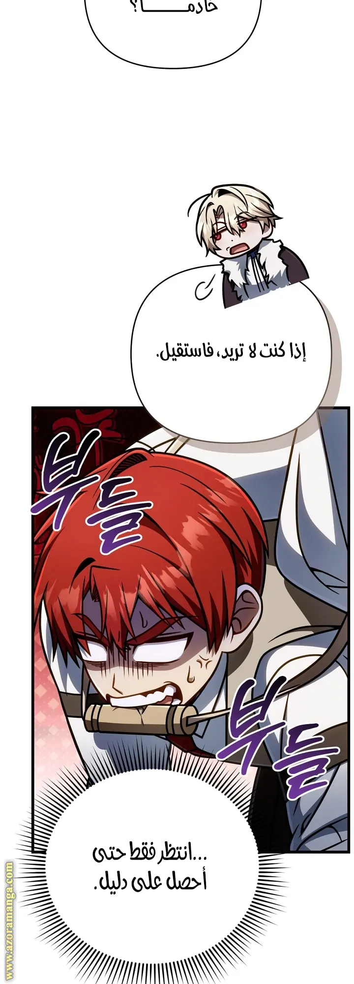 صفحة 13