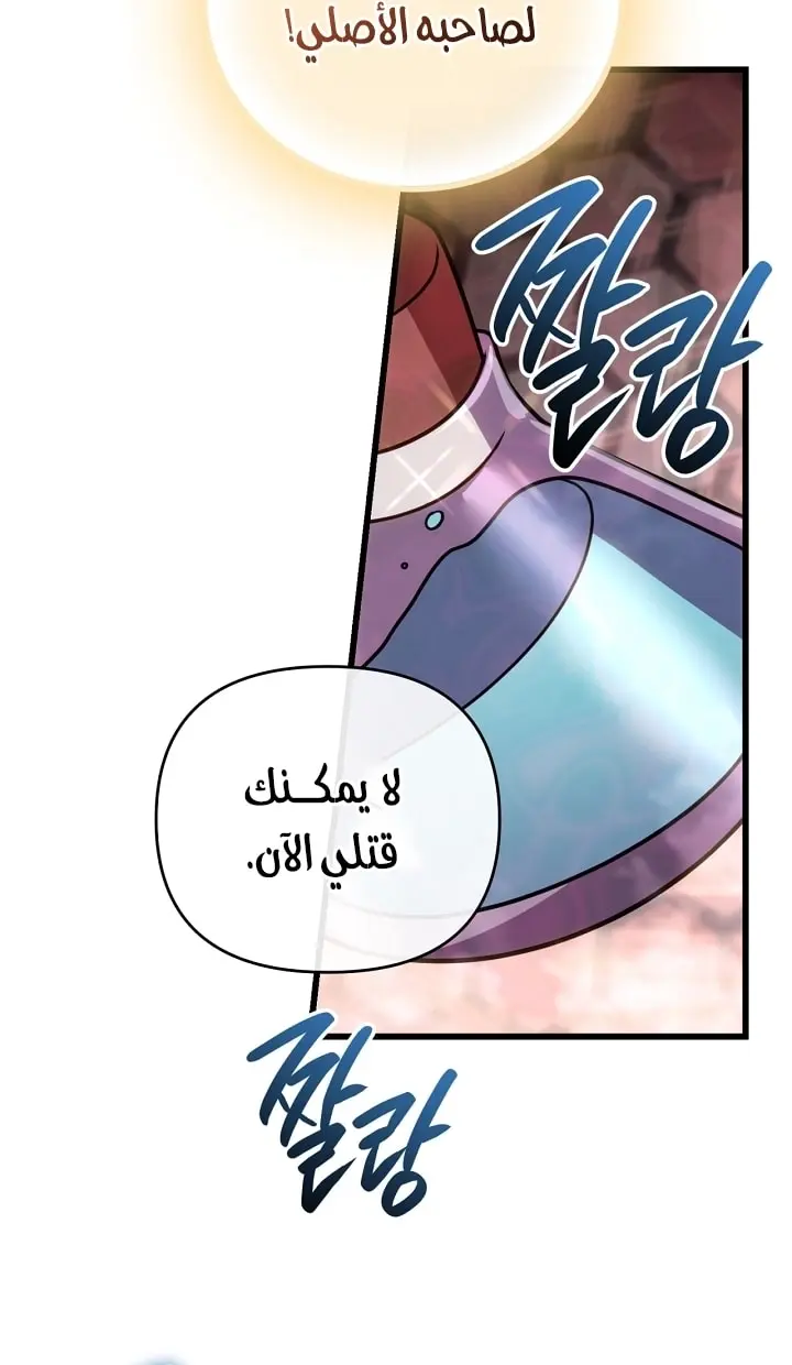 صفحة 17
