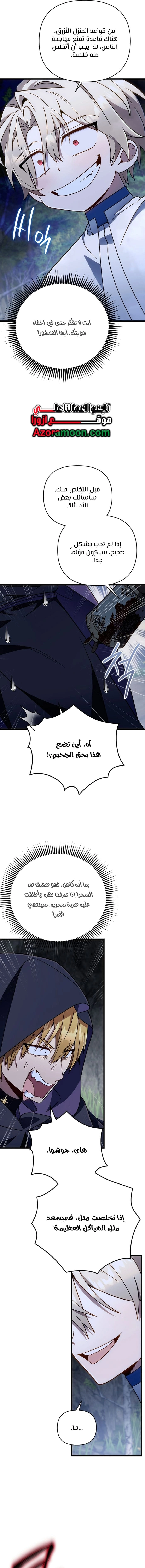 صفحة 13