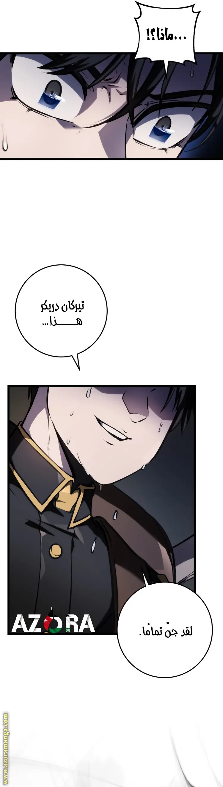 A Dragonslayer's Peerless Regression الفصل 16 — صفحة 13