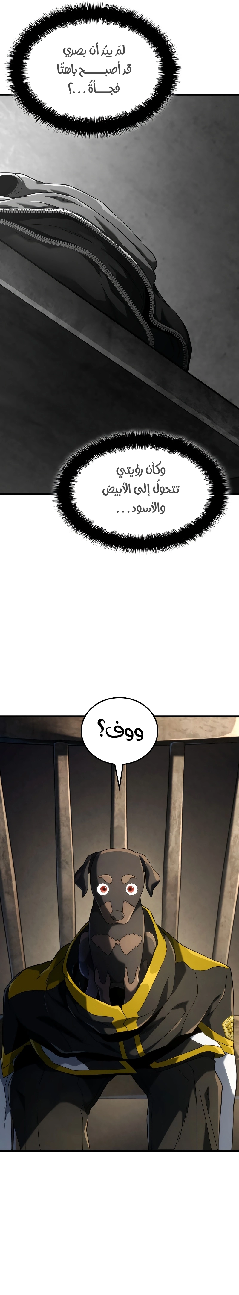 صفحة 16