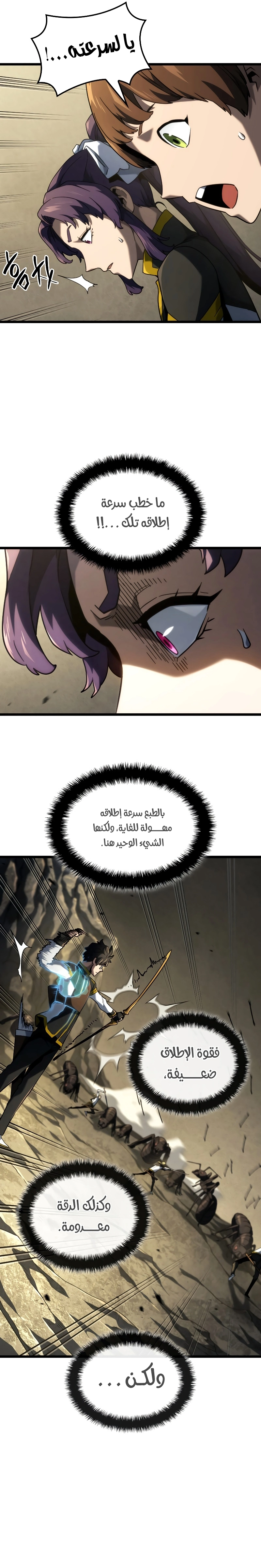 صفحة 17