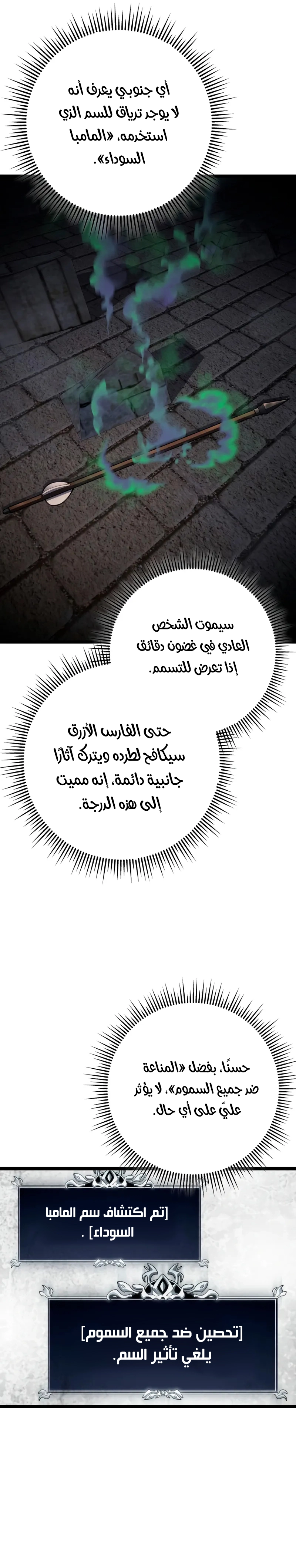 A Dragonslayer's Peerless Regression الفصل 56 — صفحة 3