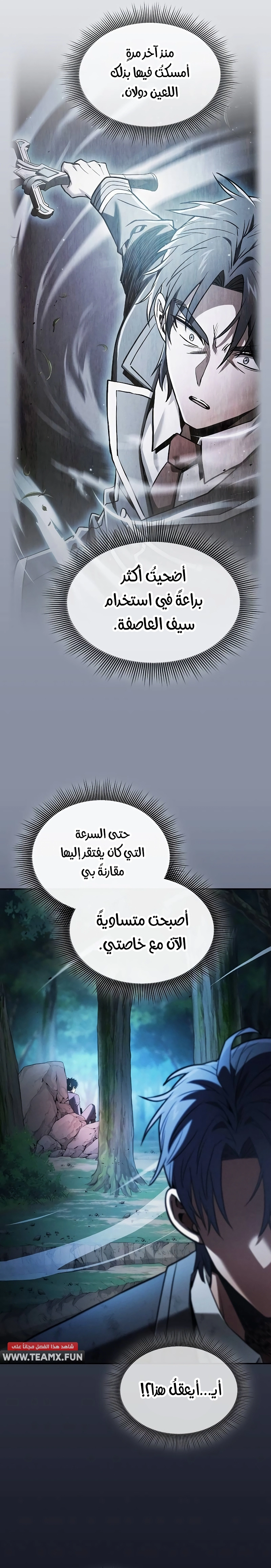 صفحة 13