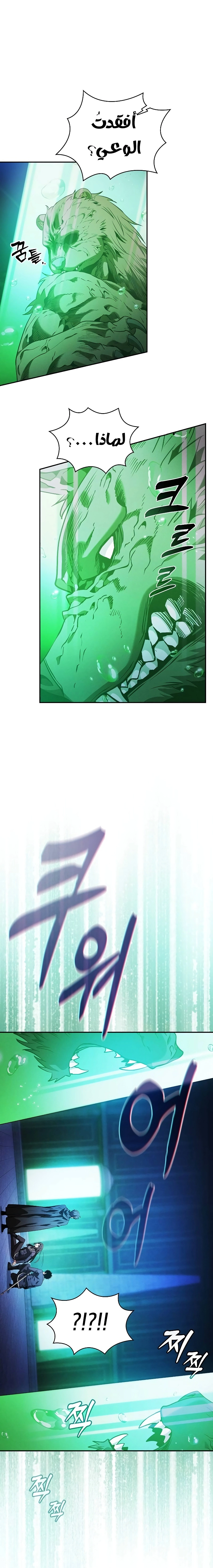 صفحة 17
