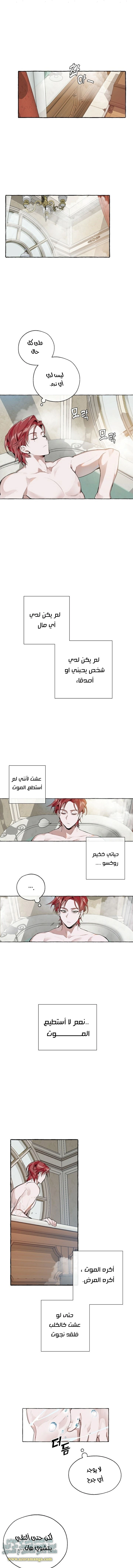 صفحة 8