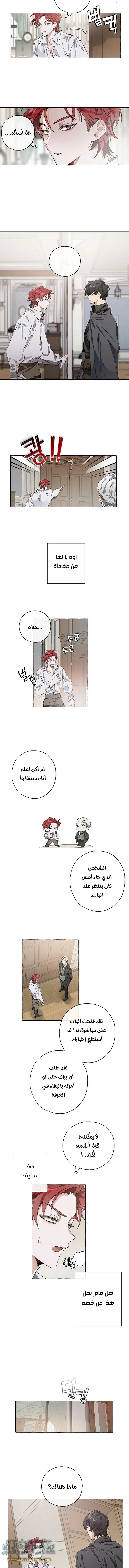 صفحة 4