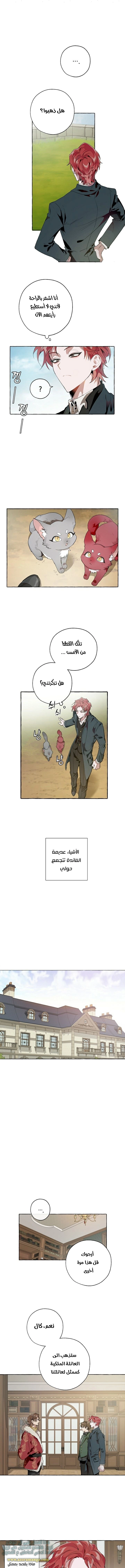 صفحة 6