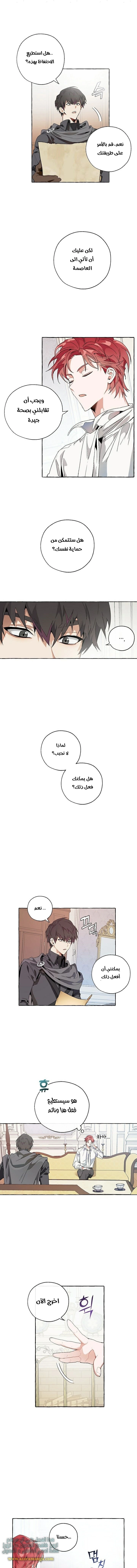 صفحة 8