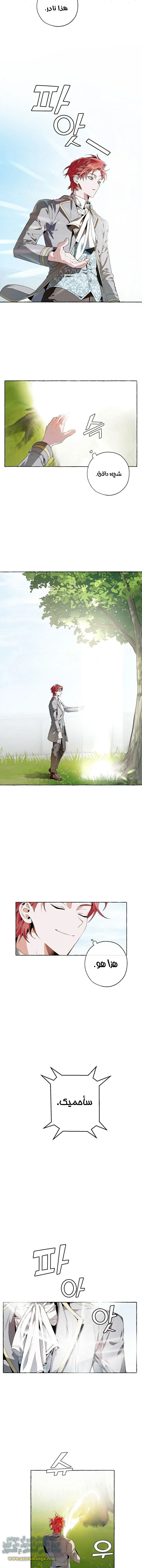 صفحة 8