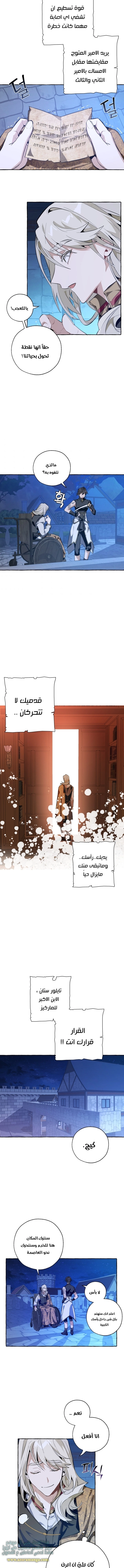 صفحة 11