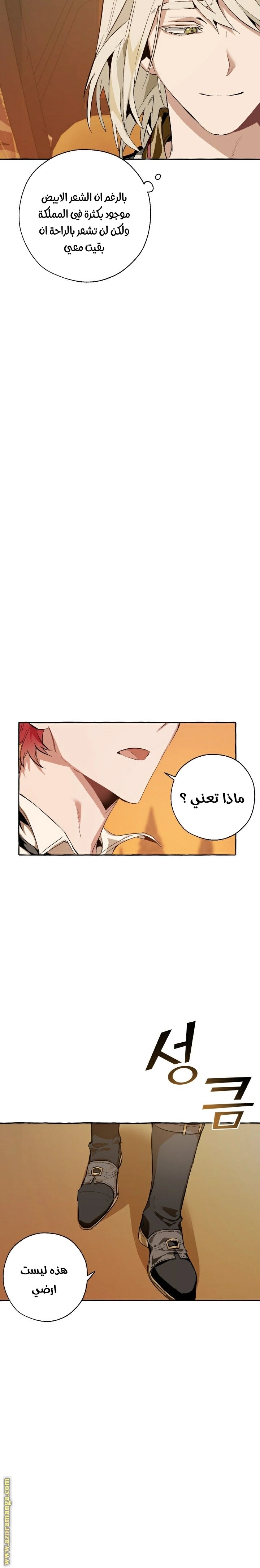 صفحة 17