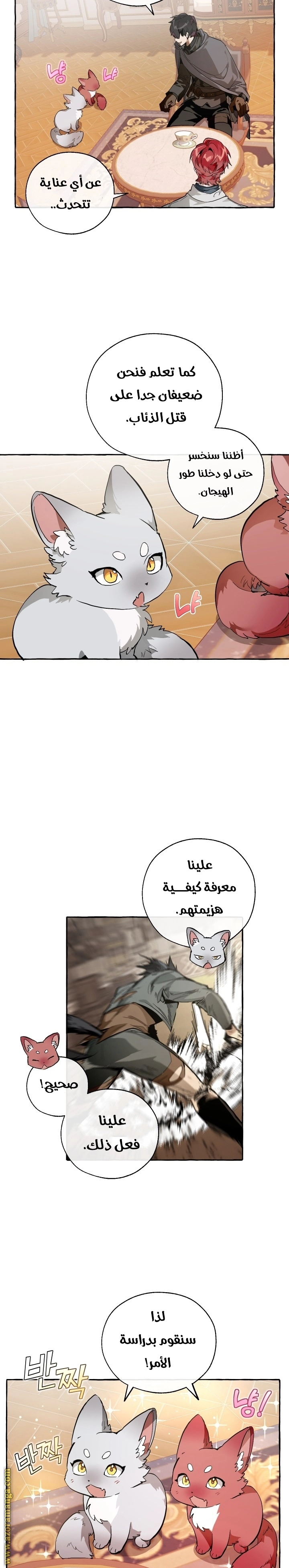 صفحة 7