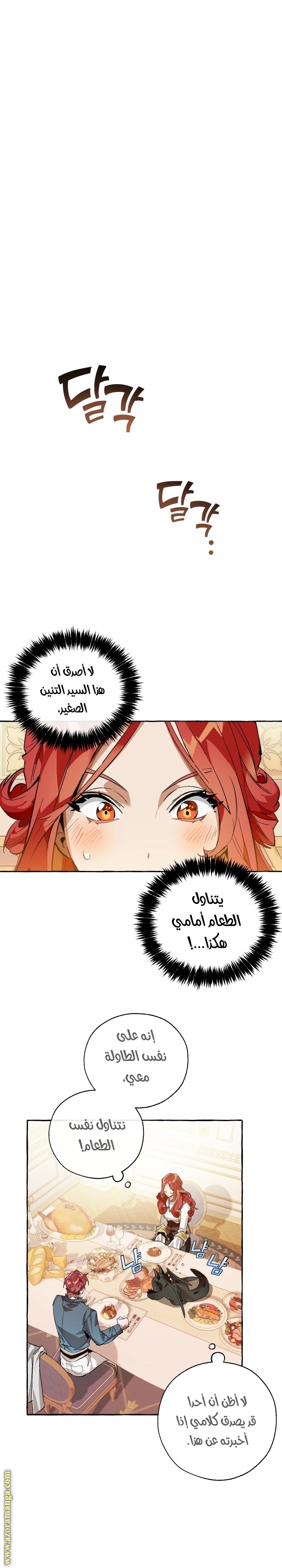 صفحة 17