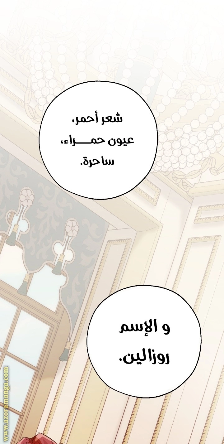 صفحة 27