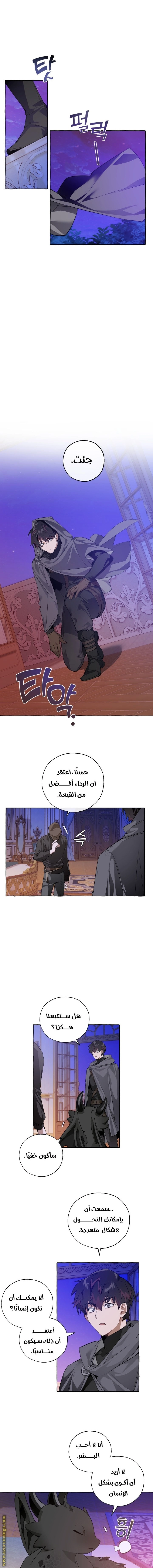 صفحة 7