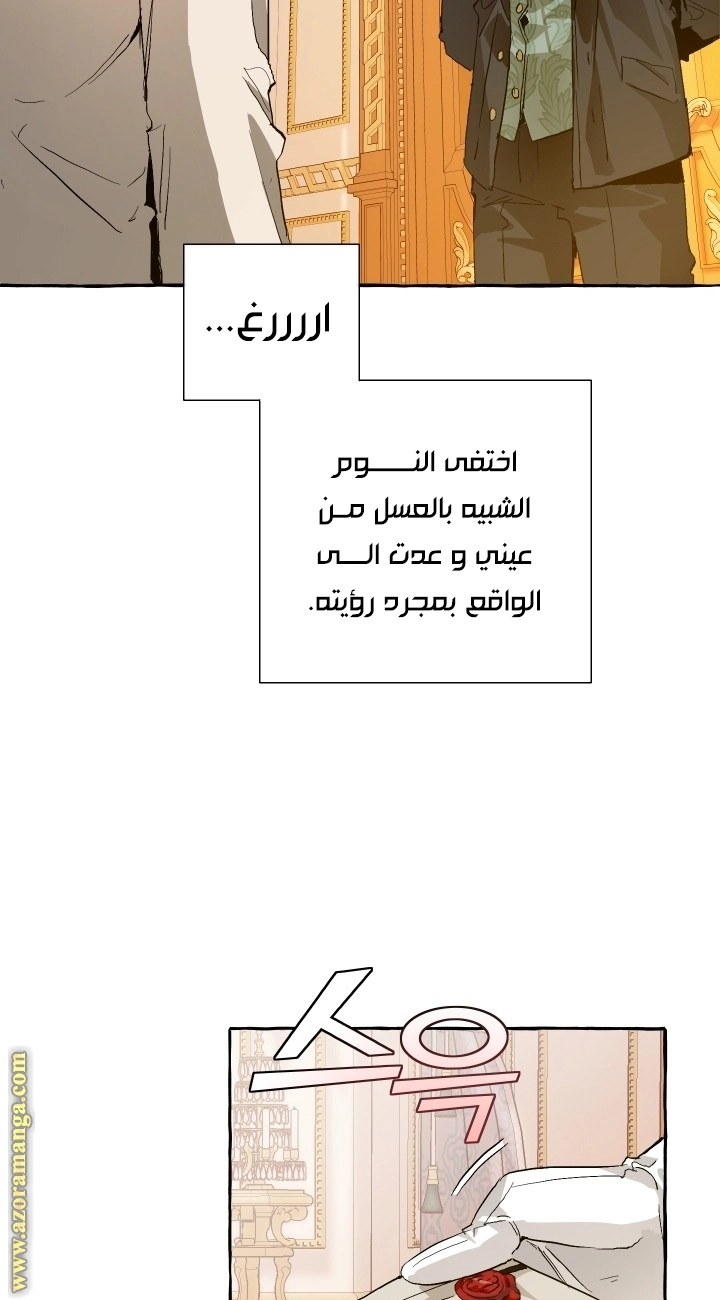 صفحة 23
