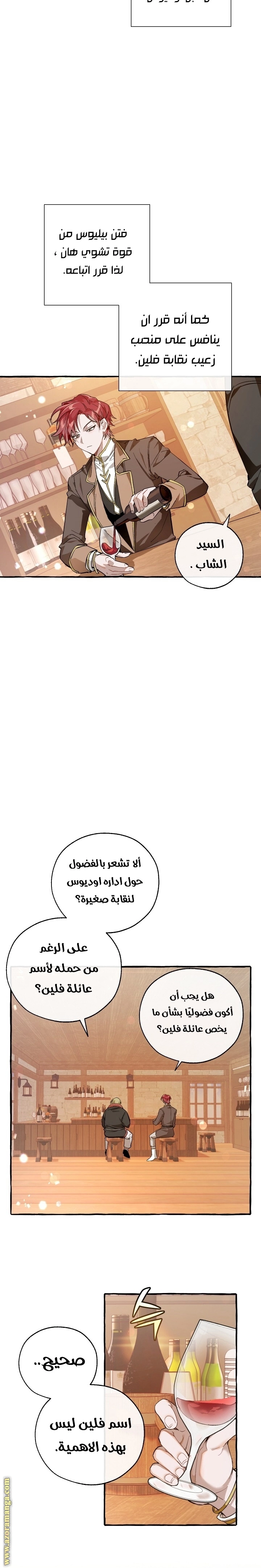 صفحة 17