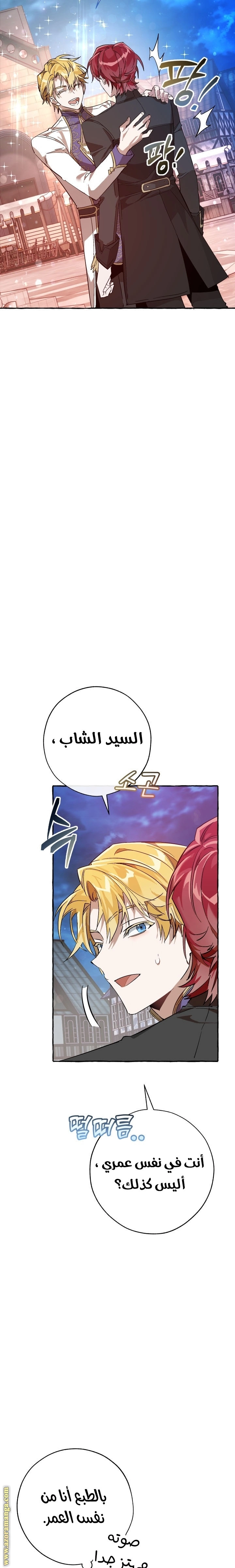 صفحة 17