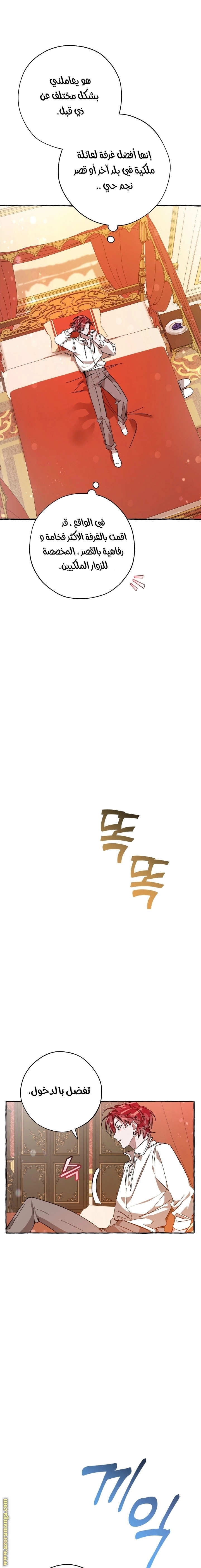 صفحة 17