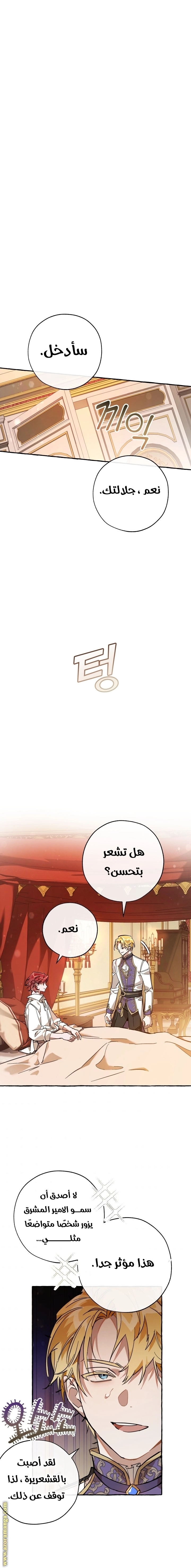 صفحة 13
