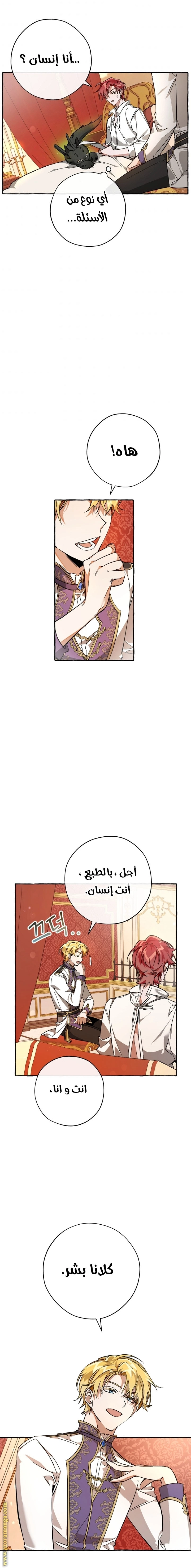 صفحة 17
