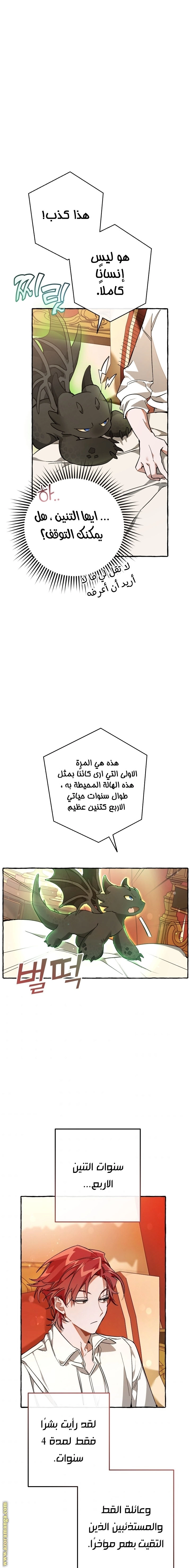 صفحة 18
