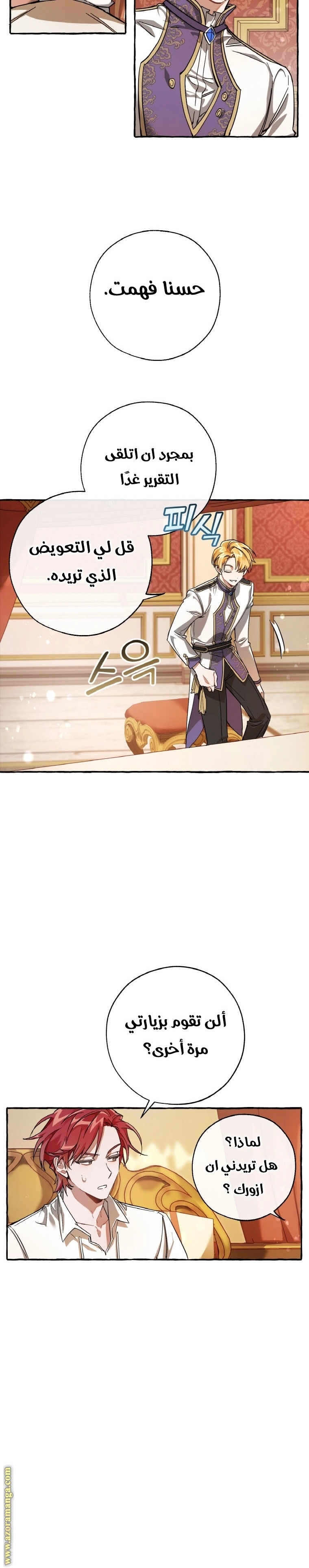 صفحة 17