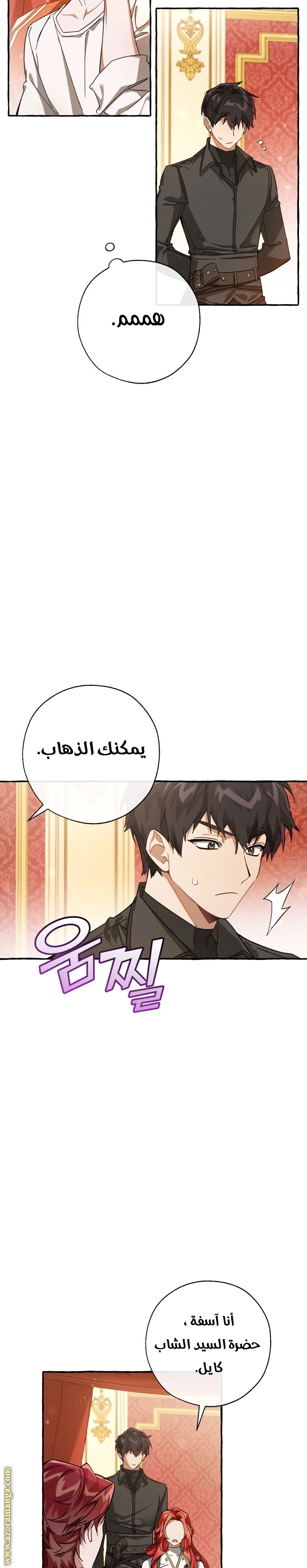 صفحة 13