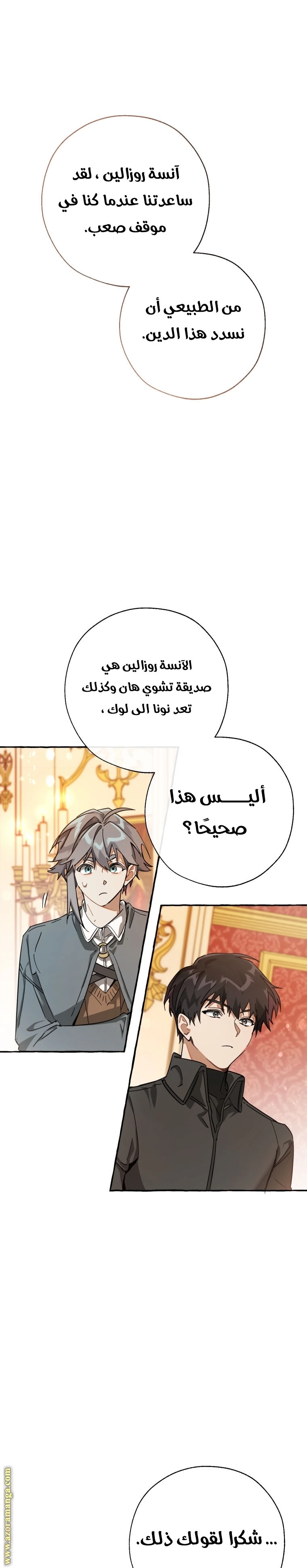 صفحة 17