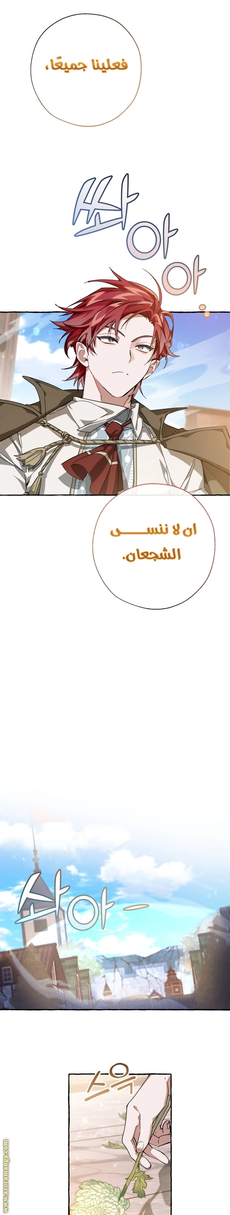صفحة 17