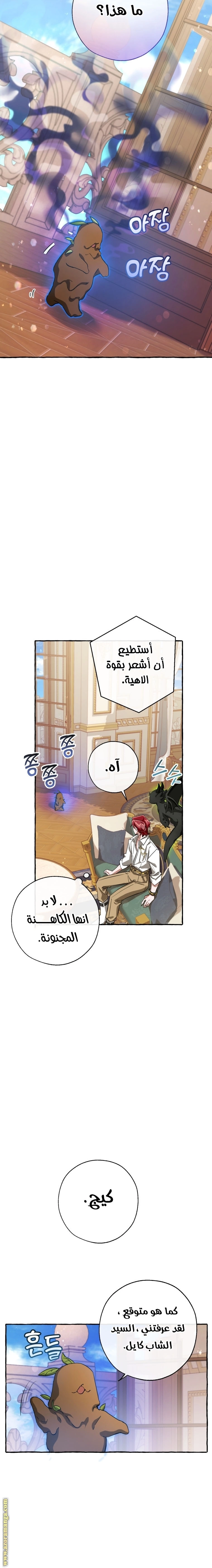 صفحة 14