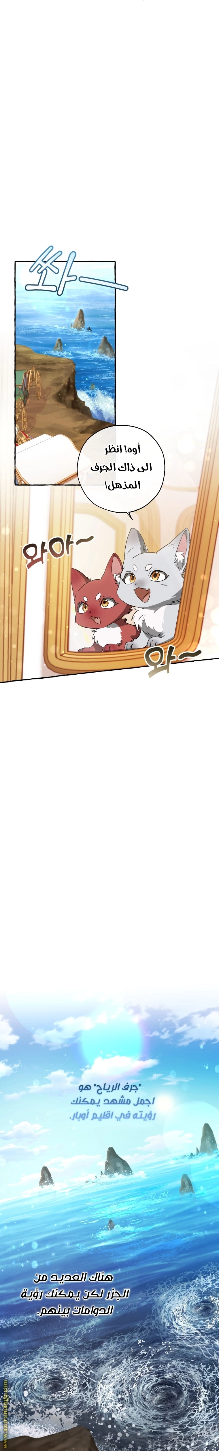 صفحة 13