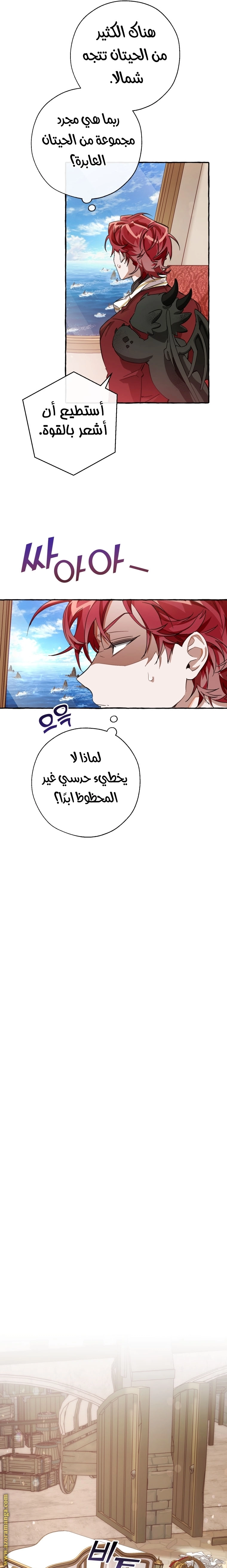 صفحة 17