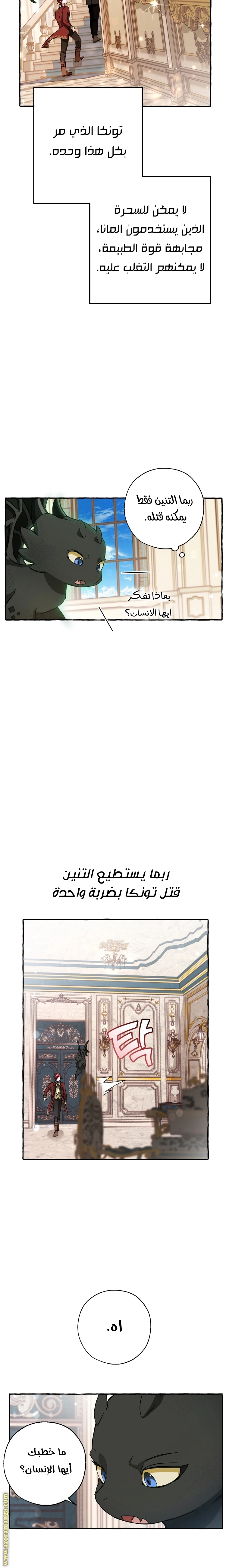 صفحة 11