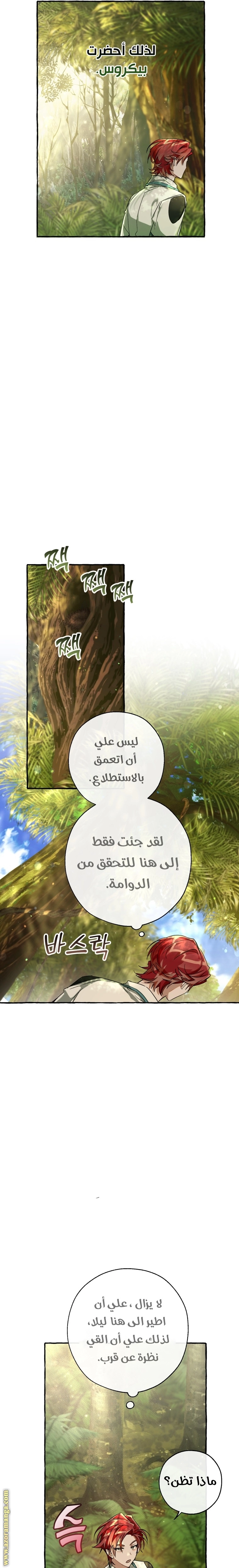 صفحة 13