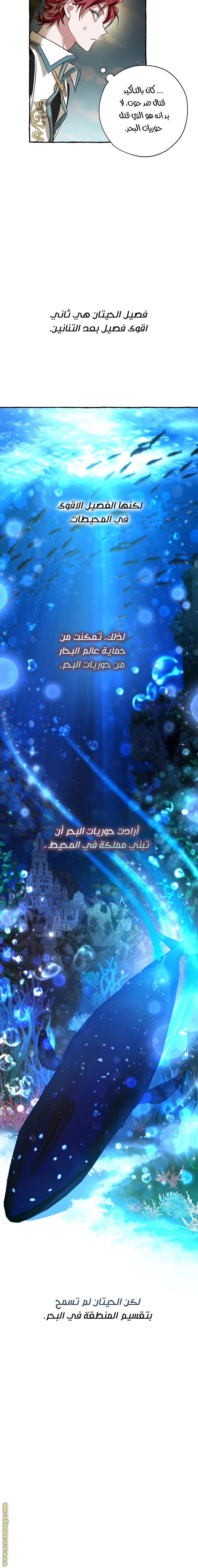 صفحة 5