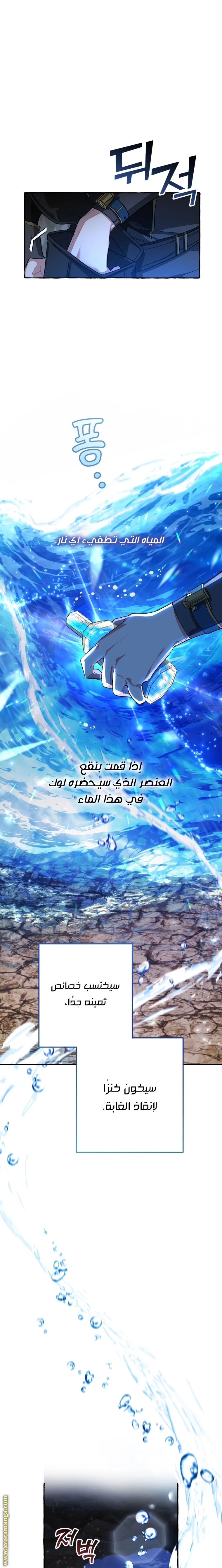 صفحة 17