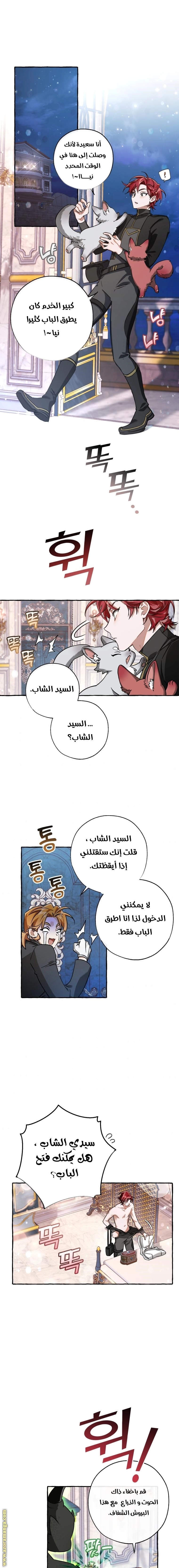 صفحة 1