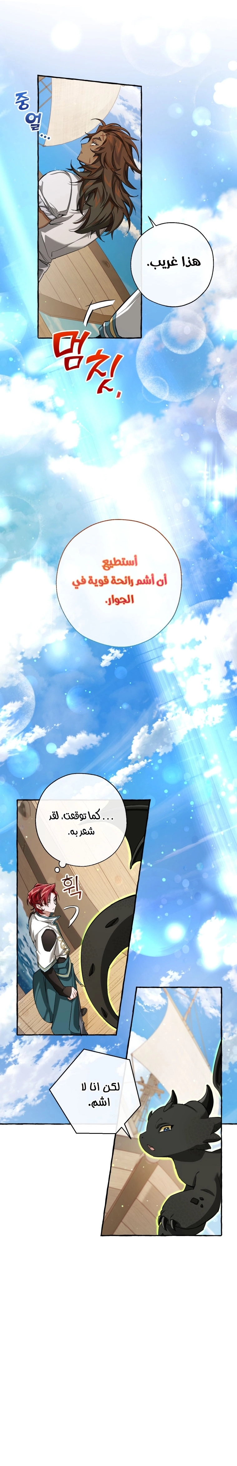 صفحة 14
