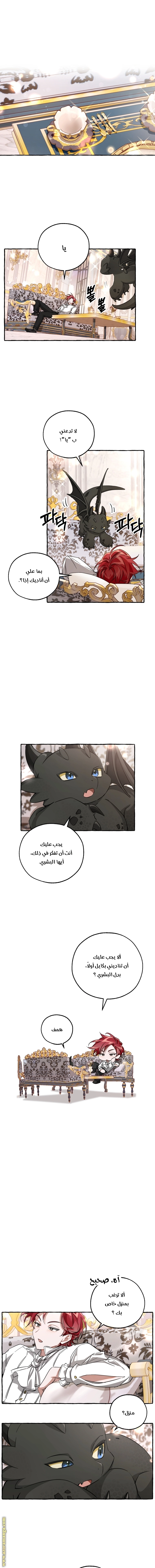 صفحة 4