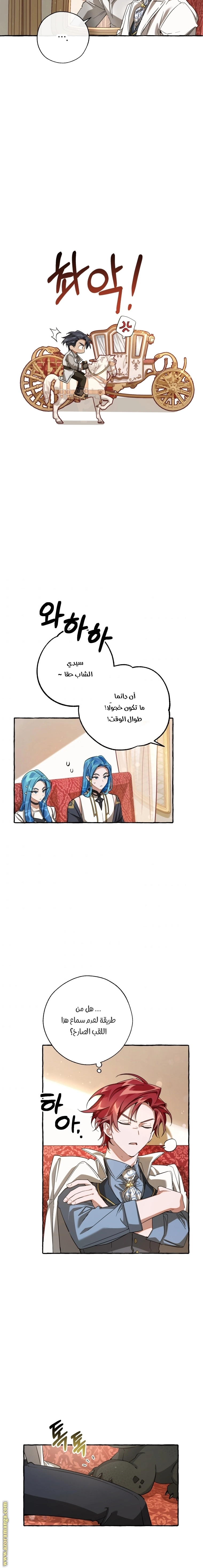 صفحة 11