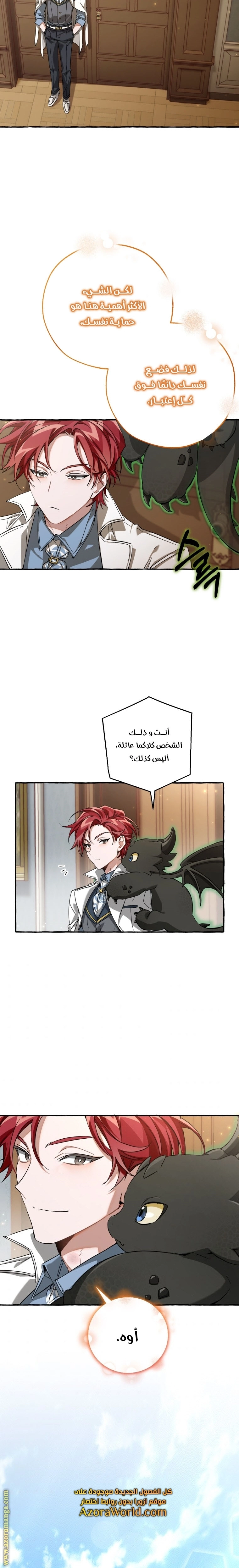 صفحة 13