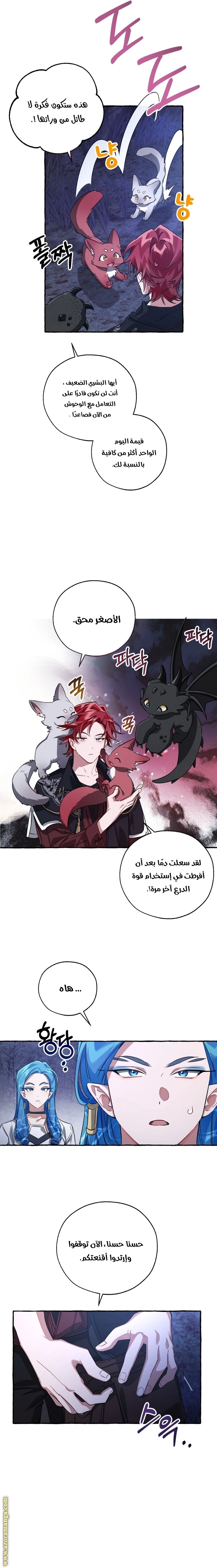 صفحة 13