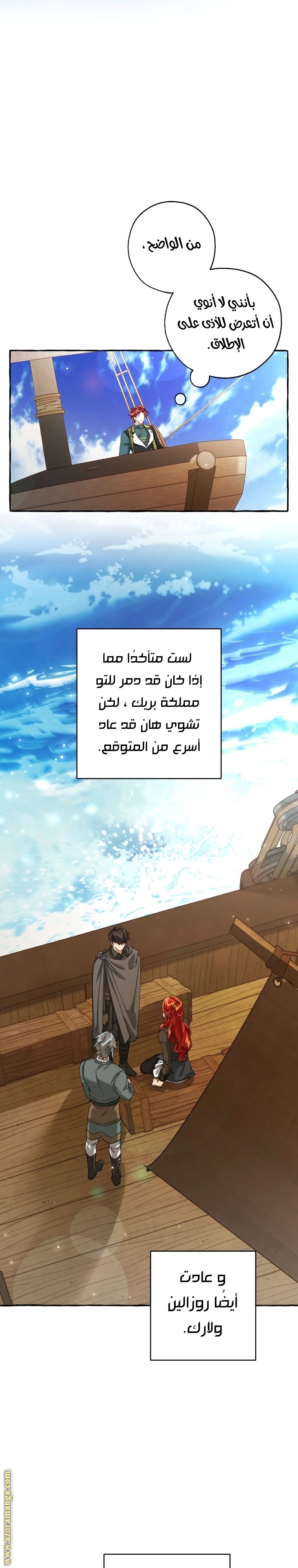 صفحة 17