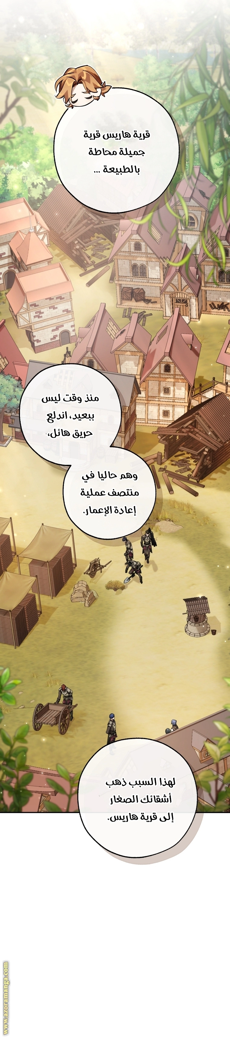صفحة 17